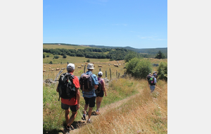 VENDREDI RANDO AVRIL 2024 BAGNOLS